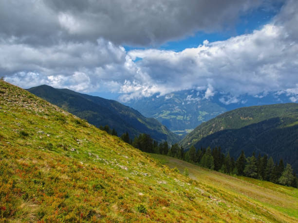 istock Alpine pastures of Carinthia 1207353530