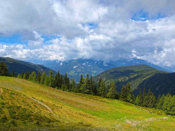 istock Alpine pastures of Carinthia 1207353535