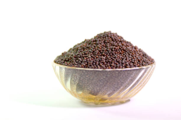 Indian Brown Mustard Seeds isolated on white background