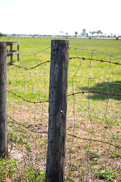 istock Wooden Fence Pole And Barbed Wire Around A Pasture 120735433