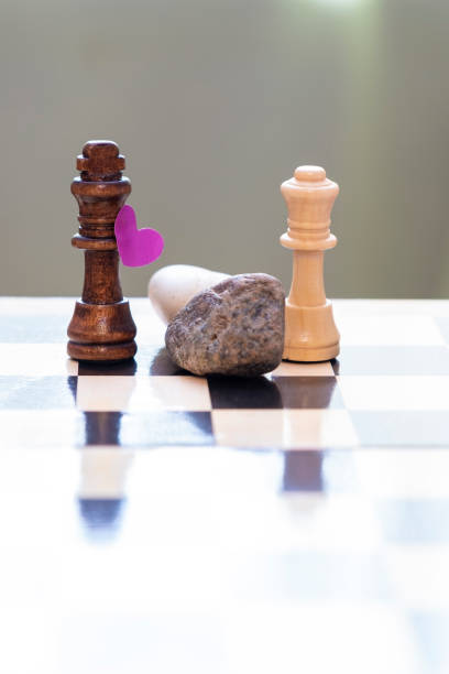 chess pieces on a chessboard. obstacle between the white king and the black queen, a symbol of heart and love. - hurdle conquering adversity obstacle course nobody imagens e fotografias de stock