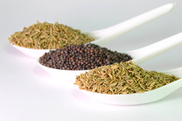 Brown Mustard and cumin seeds on white background