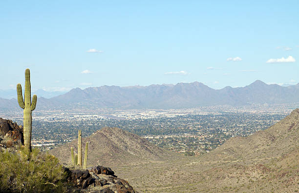 istock DSLR image of lone saguaro cactus in Arizona 120735713