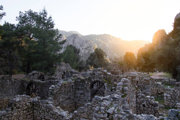 ruínas da antiga cidade grega de olympos perto de kemer, turquia - forest colonnade tree old fashioned - fotografias e filmes do acervo