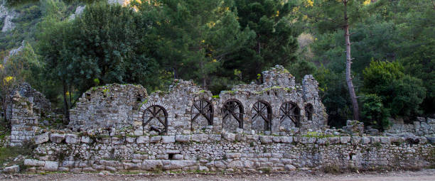 ruínas da antiga cidade grega de olympos perto de kemer, turquia - forest colonnade tree old fashioned - fotografias e filmes do acervo