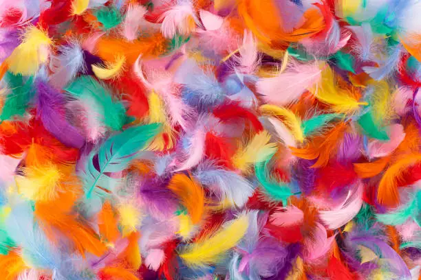 Abstract colorful background of small fluffy feathers