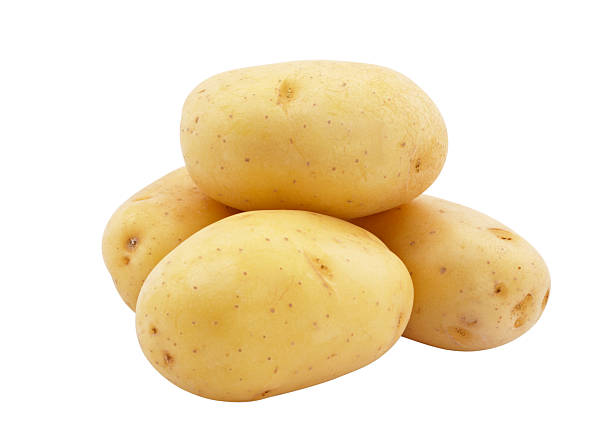 Potato stock photo