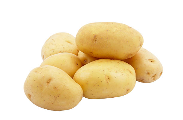 Potato stock photo