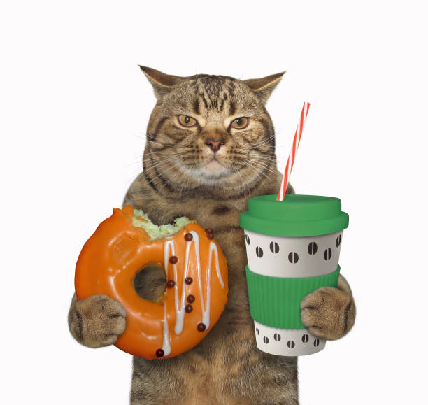 istock Cat with green cup of coffee 1207360281