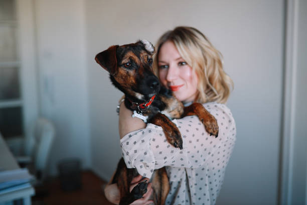 istock Woman posing with a dog in the office 1207366245