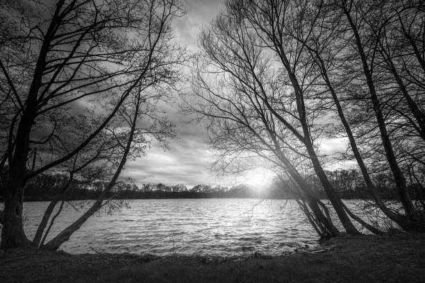Swimming lake in Winter