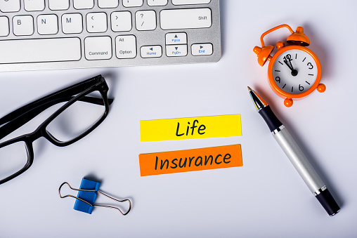 What is a Manulife Life Insurance policy