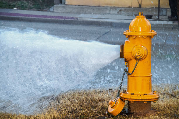 Isolated picture of a fire hydrant in an american city