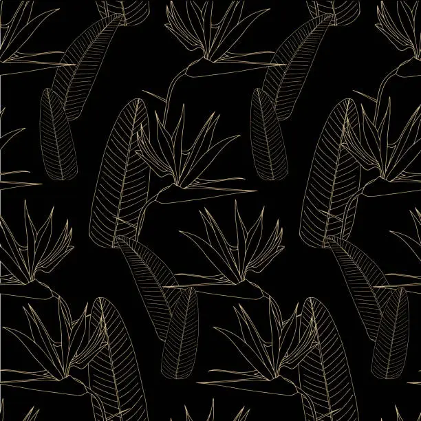 Vector illustration of Kivi seamless pattern. Floral decorative australian bird, white outline on black art design elements stock vector illustration