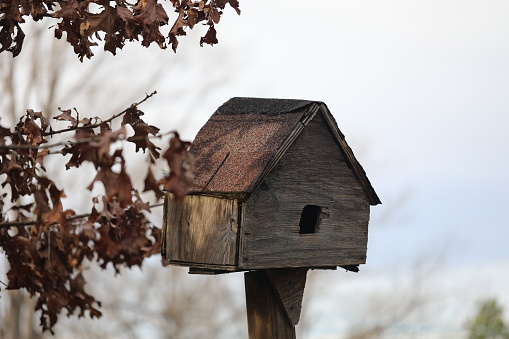 This homemade birdhouse was found on a property in a rural area in Mississippi.