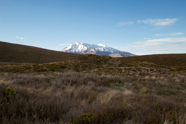 istock Snowed mountain and volcanic meadow under a blue sky, Tongariro 1207383822