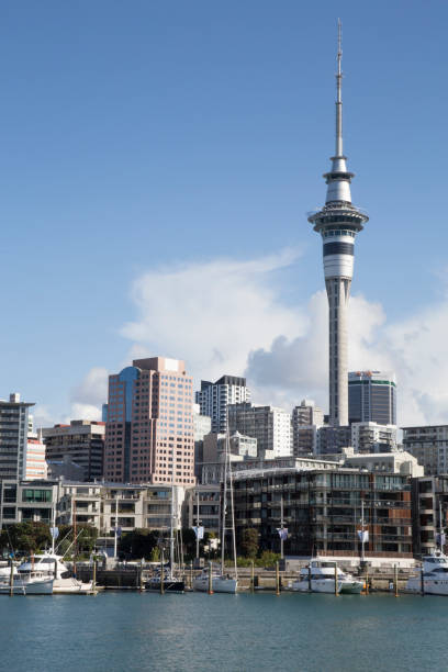 istock Sky tower and Auckland's skyline viewed from Marina during a sunny day 1207383860