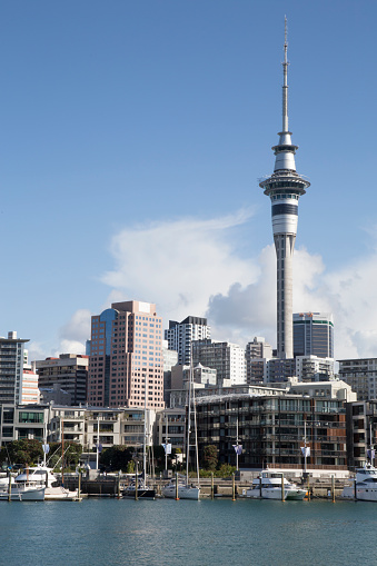 Sky tower and Auckland's skyline viewed from Marina during a sunny day in Auckland, Auckland, New Zealand