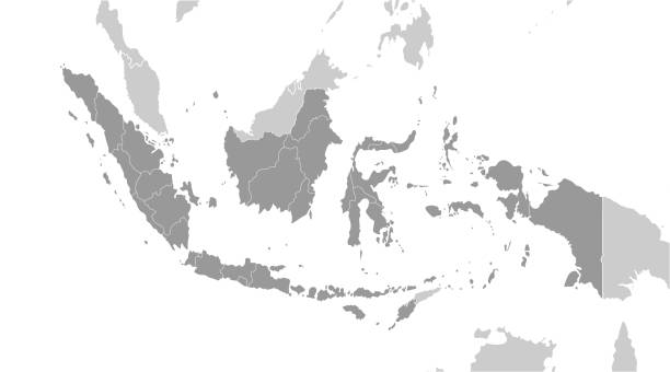 wektorowa nowoczesna ilustracja. uproszczona szara mapa geograficzna indonezji i sąsiednich krajów (malezja, brunei itp.). białe tło. granica prowincji indonezyjskich - bali cartography map island stock illustrations