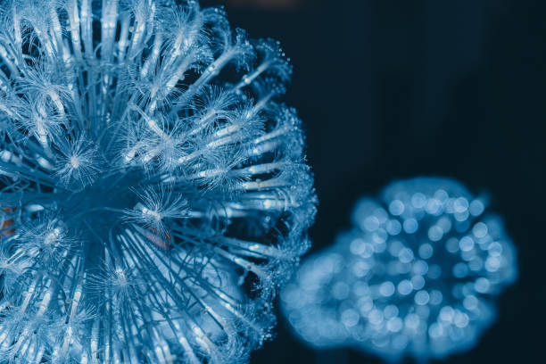 istock Bundle of optical fibers with lights ; background or textures 1207386420