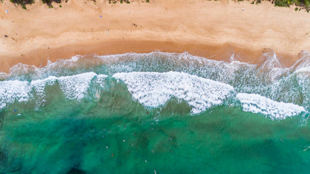 istock Surfers in big ocean waves, Sydney Australia by drone top down view 1207388115