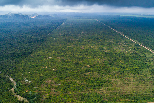 Farm land next to Jungle aerial survey