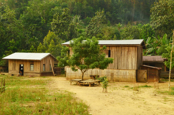 Traditional tribal house at rural village of Sabah. A traditional wooden house at a rural village of Kampung Tampasak, Borneo, Sabah. kadazandusun stock pictures, royalty-free photos & images