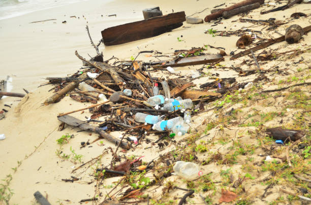 istock Sabah beach polluted with trash. 1207389289