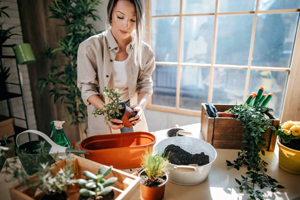 istock I'm proud of my plants 1207389464