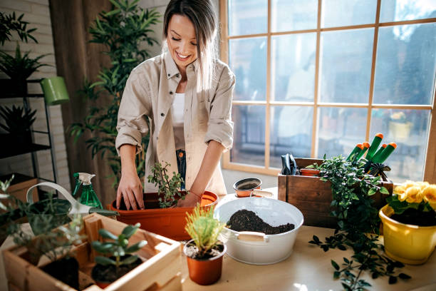 istock I love my job 1207390842