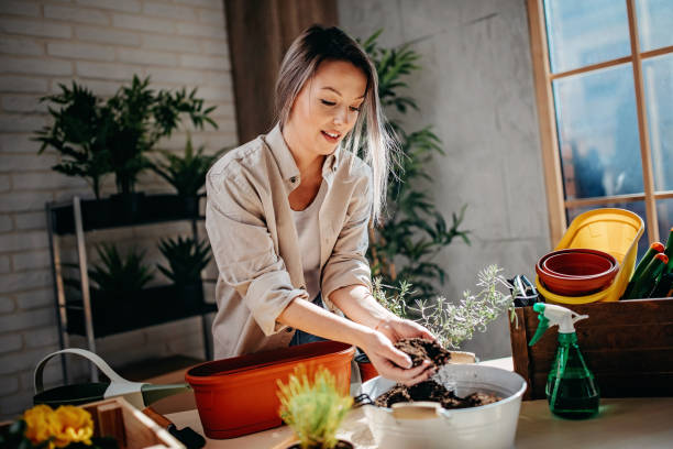 istock Women planting flowers 1207390911