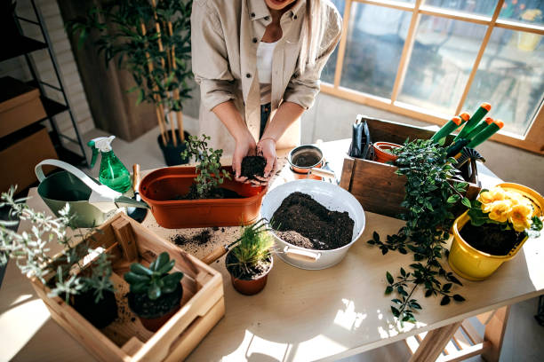 istock You need to grow 1207392152