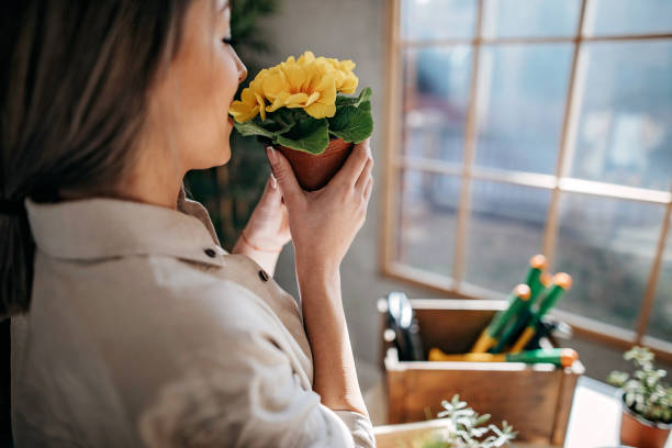 istock You need to grow 1207392889