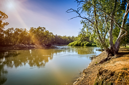 Murray River dividing New South Wales and Victoria at Swan Hill