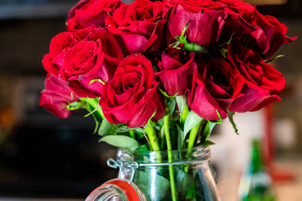 istock A dozen roses in glass vase for Valentine's day 1207402823