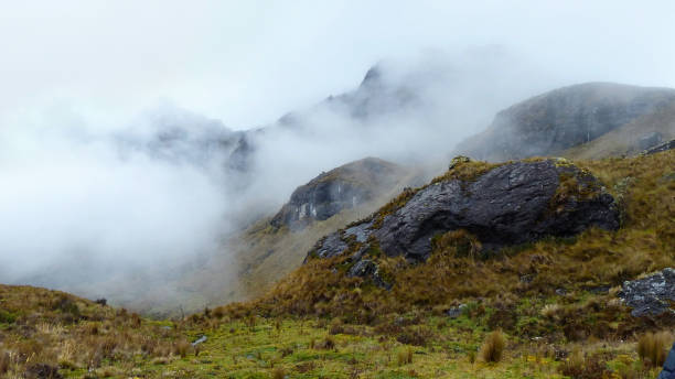 istock Cajas National park, Ecuador 1207402893