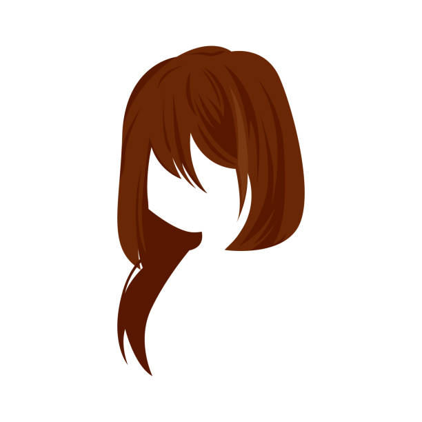 Manga Female Hair Style Vector Illustration Anime Girl Hair Illustration  Design Template Stock Illustration - Download Image Now - iStock