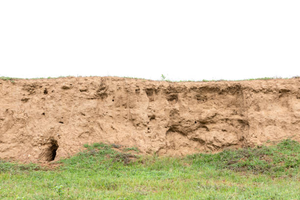 Layers of soil with green grass growing isolated on white background
