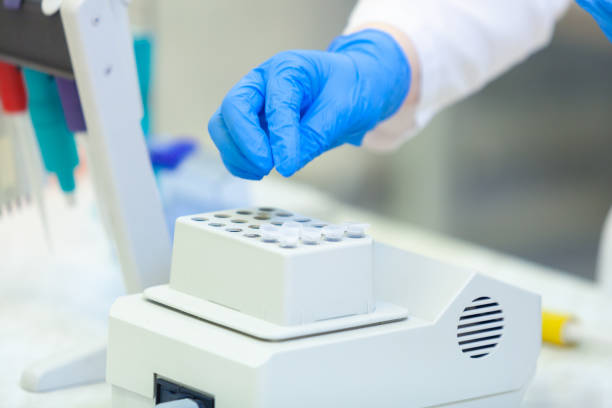 istock Laboratory worker puts samples into a tray making analysis for immunity viruses in a medical laboratory 1207406327