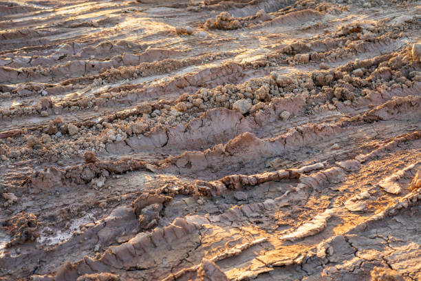 istock Wheel track on wet soil or mud 1207407201