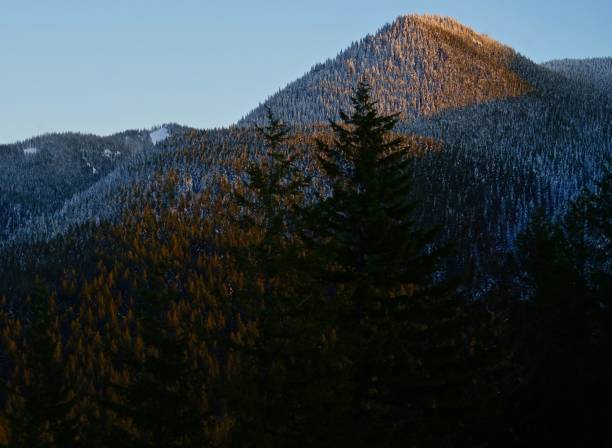 foresta nazionale di mt. hood - cascade range mountain alpenglow winter foto e immagini stock