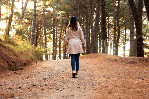 istock Woman tourist walking in forest 1207408241