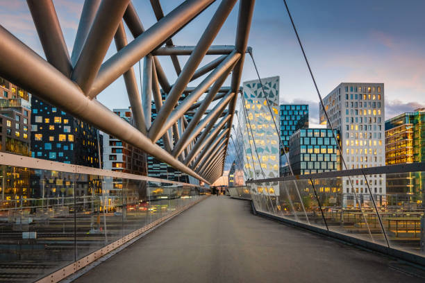 istock Oslo Modern Skyline Norway at Dusk 1207410377