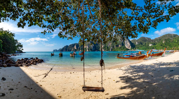 istock Panoramic view of Swing hang from coconut tree over beach, Phi Phi Island, Thailand 1207419094