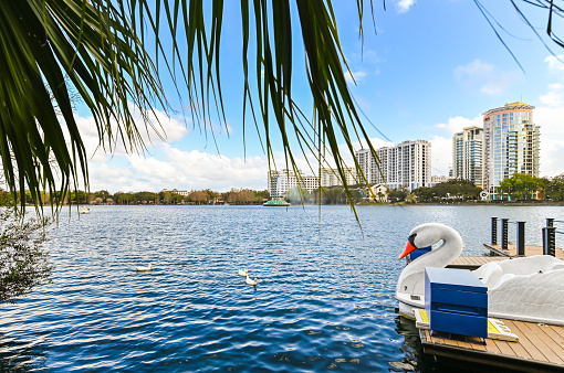 Peaceful dusk scenic on Lake Eola in the center of downtown Orlando, a destination for locals and tourists to enjoy some nature and a stunning view of the city. Swan boats for the peaceful lake as the sun sets at dusk and wildlife glide along the water