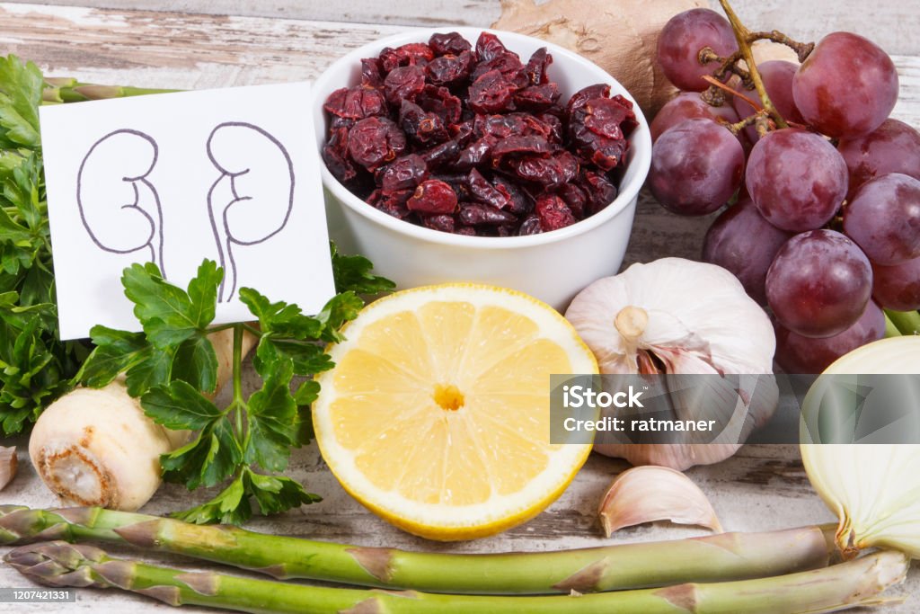 Best nutritious food for kidneys health. Healthy eating containing vitamins concept Best nutritious food for kidneys health. Concept of healthy eating containing natural vitamins Kidney - Organ Stock Photo
