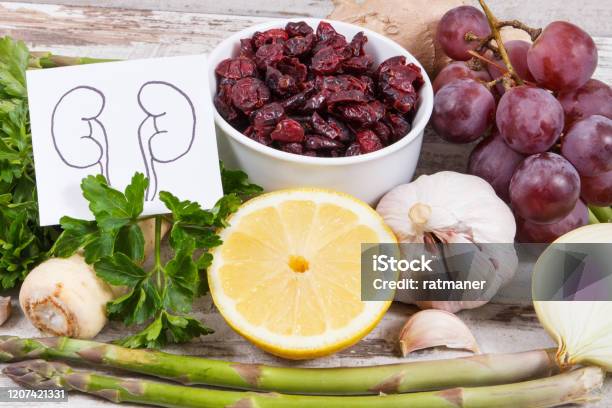 Best Nutritious Food For Kidneys Health Healthy Eating Containing Vitamins Concept Stock Photo - Download Image Now