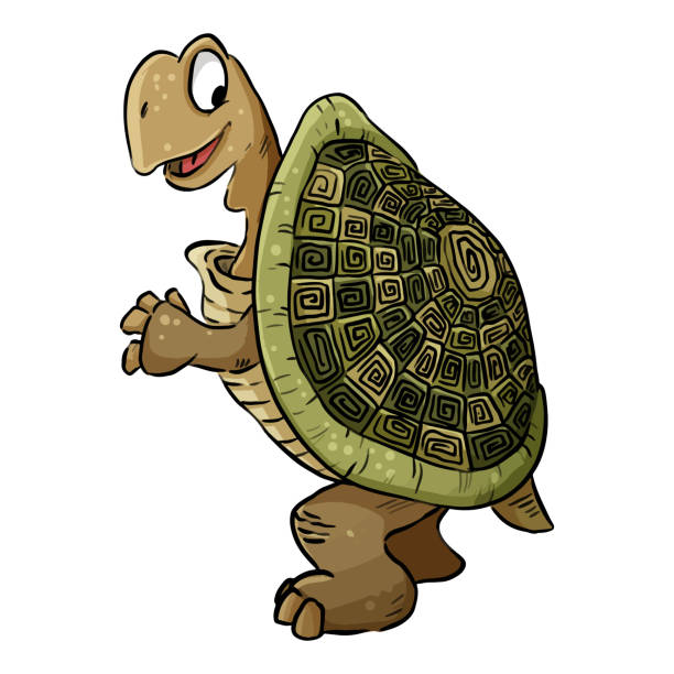 Turtle Image Cartoon Illustration Of A Cute Tortoise Turtle Comic Style Pet  Doodle Stock Illustration - Download Image Now - iStock
