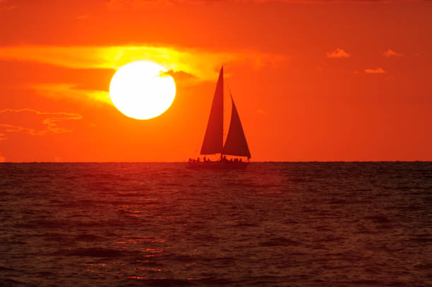 istock Ocean Sunset Sailing Sailboat 1207433055
