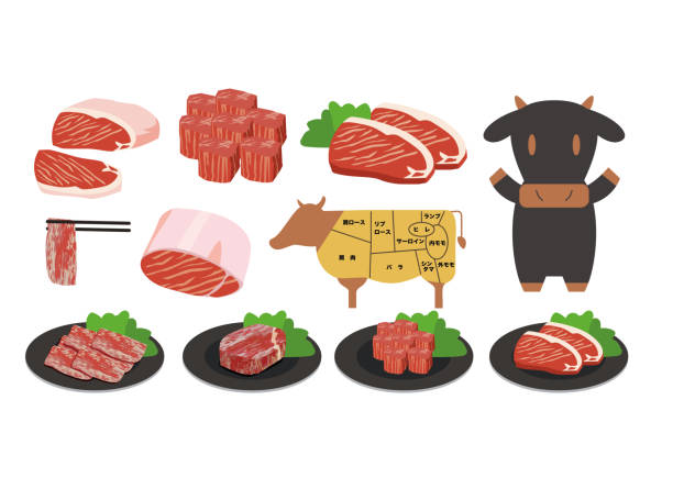 쇠고기 일러스트 - 고기 일러스트 stock illustrations